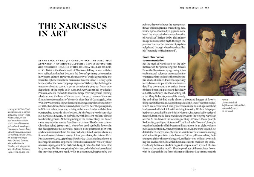 Narcissus in Perfumery - Collective