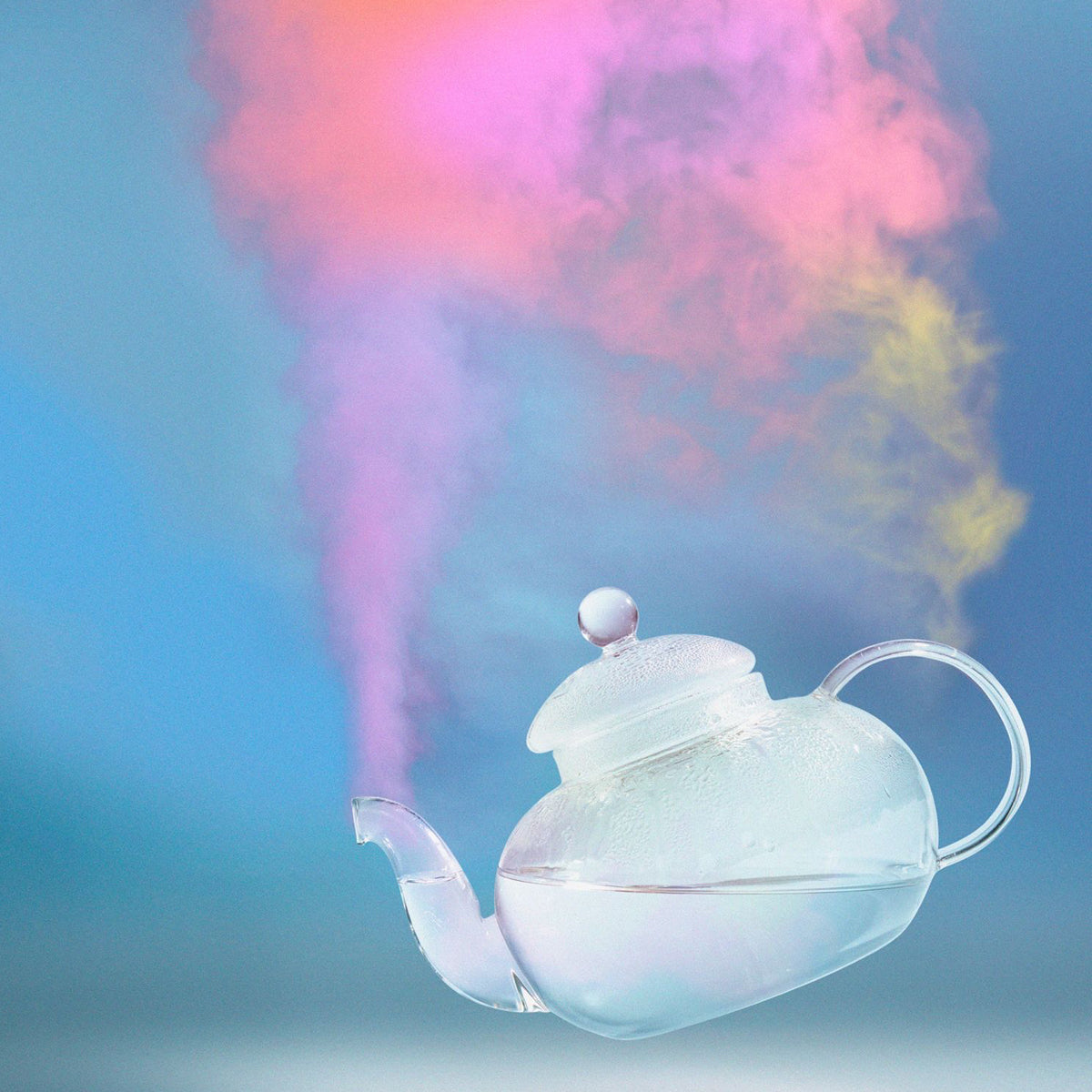 Steamed Rainbow