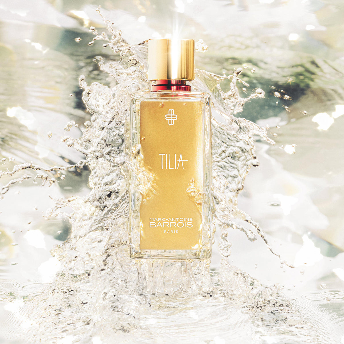 Tilia