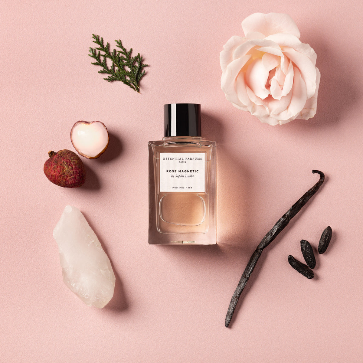 Rose Magnetic