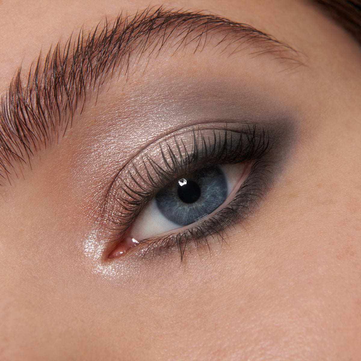 Eyeshadow Palette