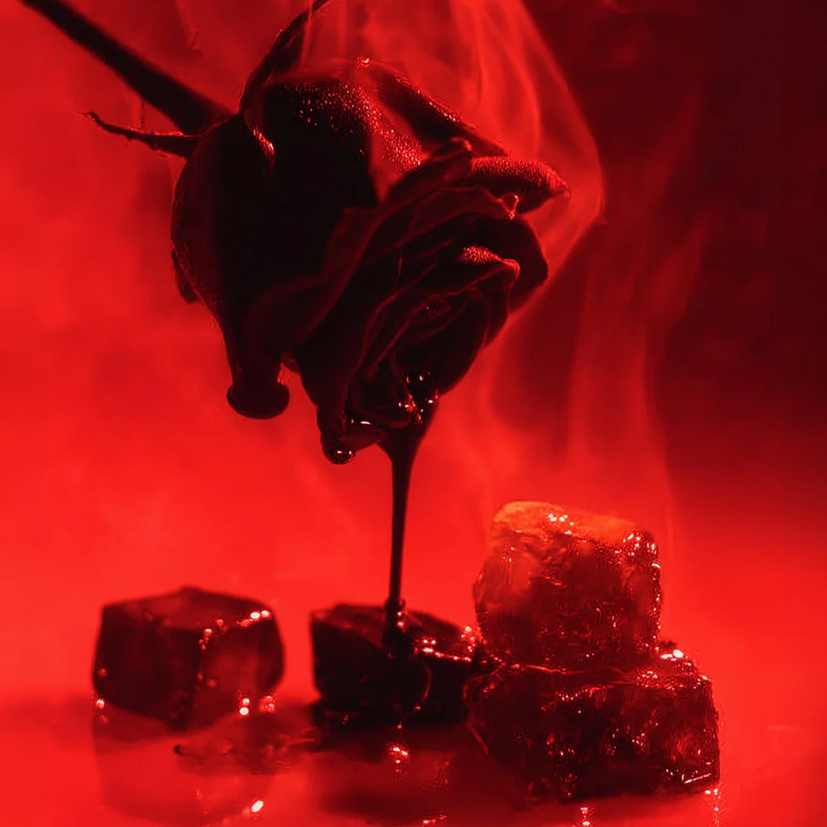ENSANG NOIR