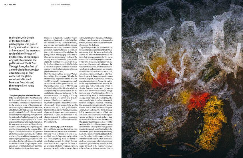 NEZ Magazine #7 The Animal Sense