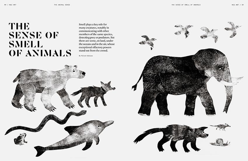 NEZ Magazine #7 The Animal Sense
