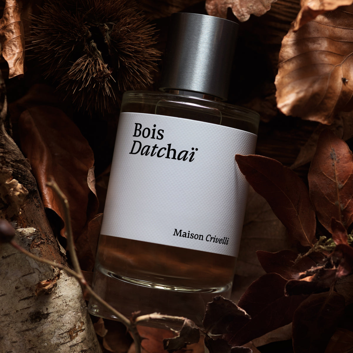 Bois Datchai