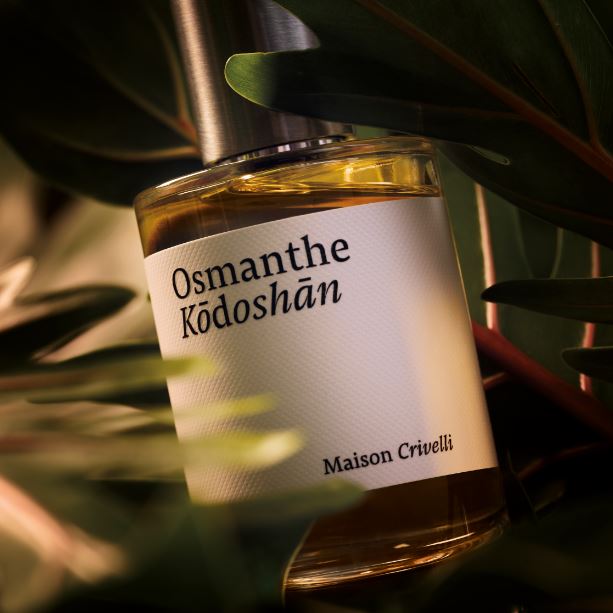 Osmanthe Kodoshan