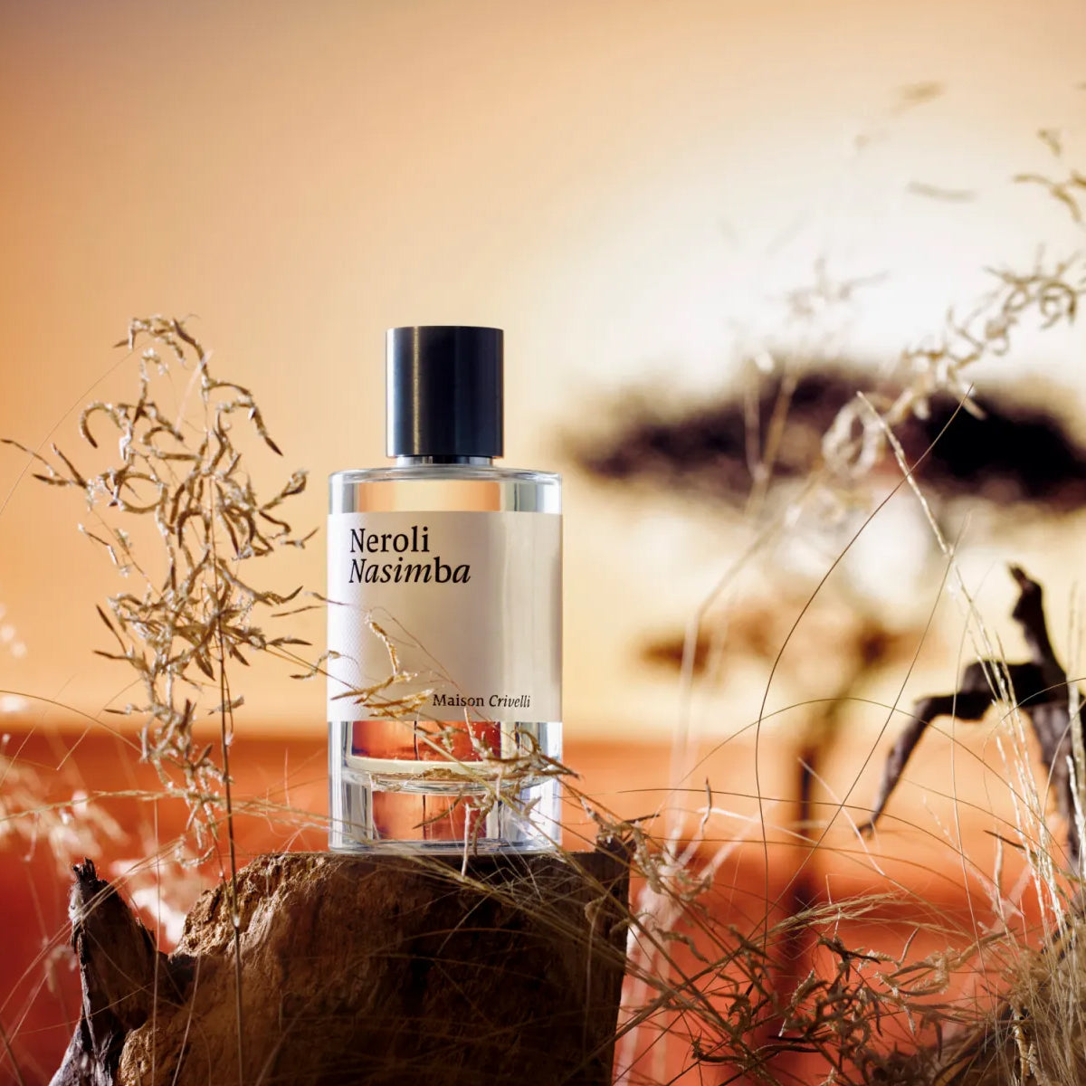 Neroli Nasimba
