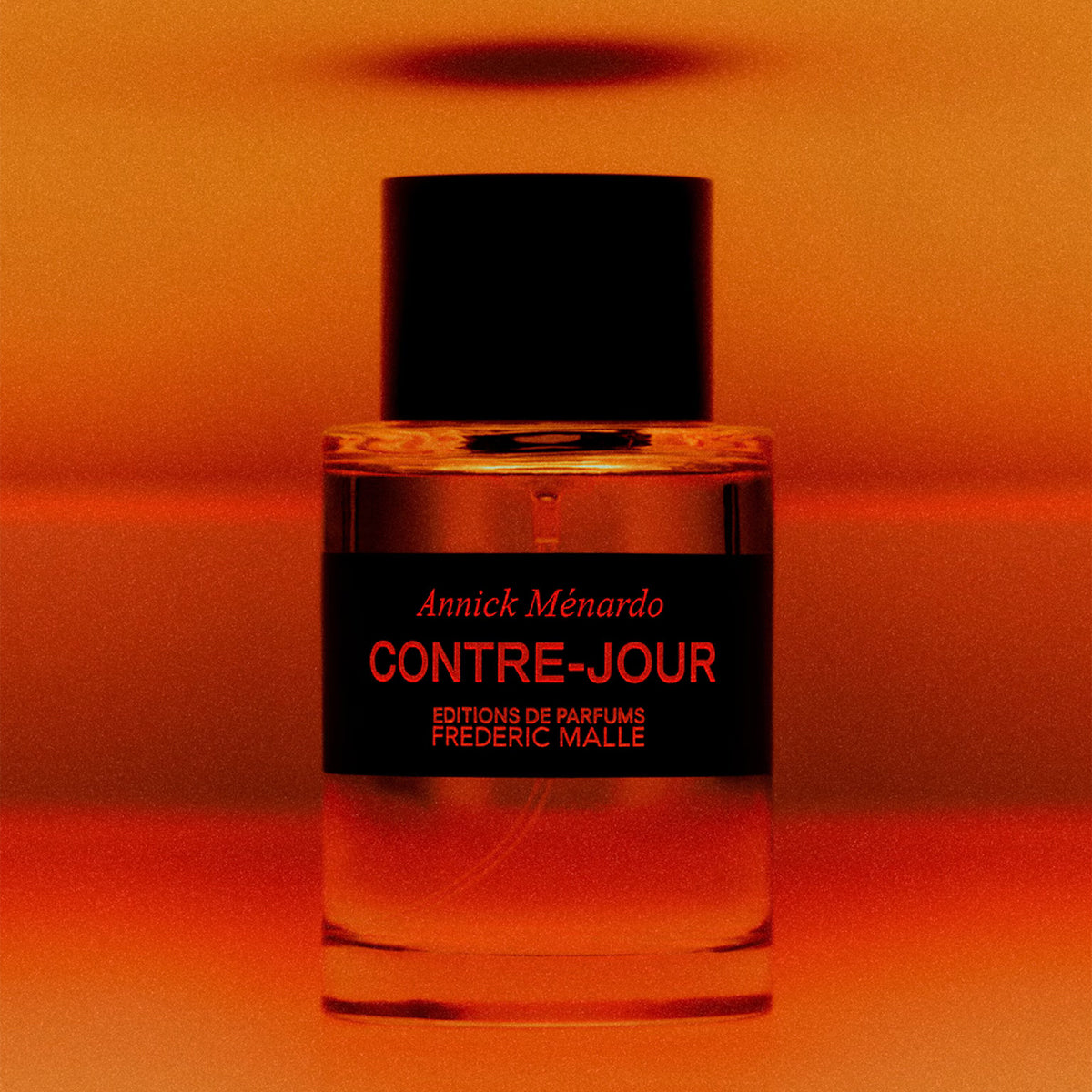 Contre-Jour