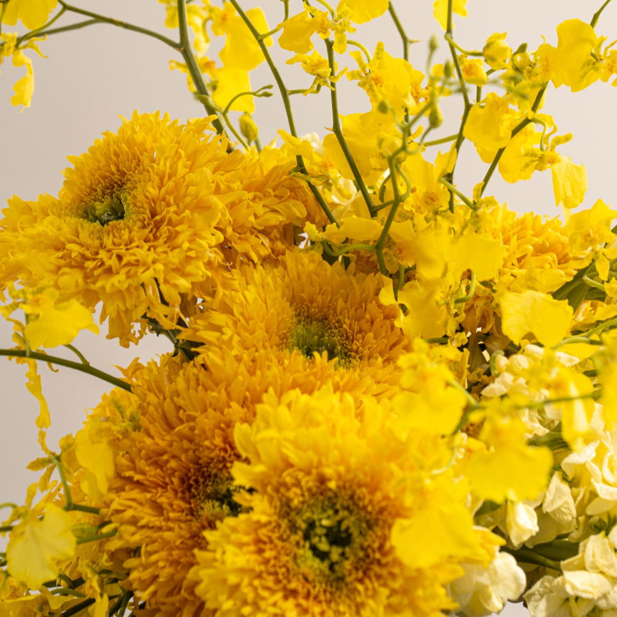 Capri Yellow Light