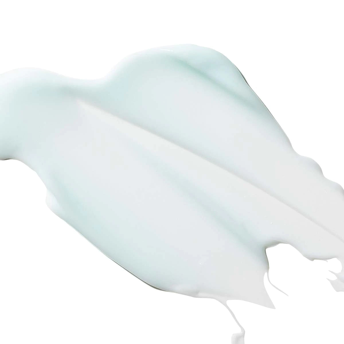Hyaluronic Moisture Cushion