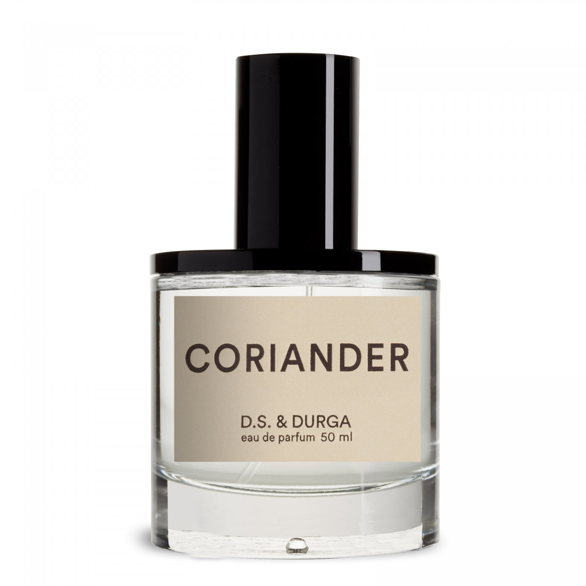 Coriander