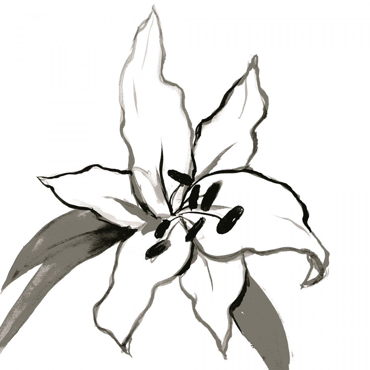 Casablanca Lily Candle