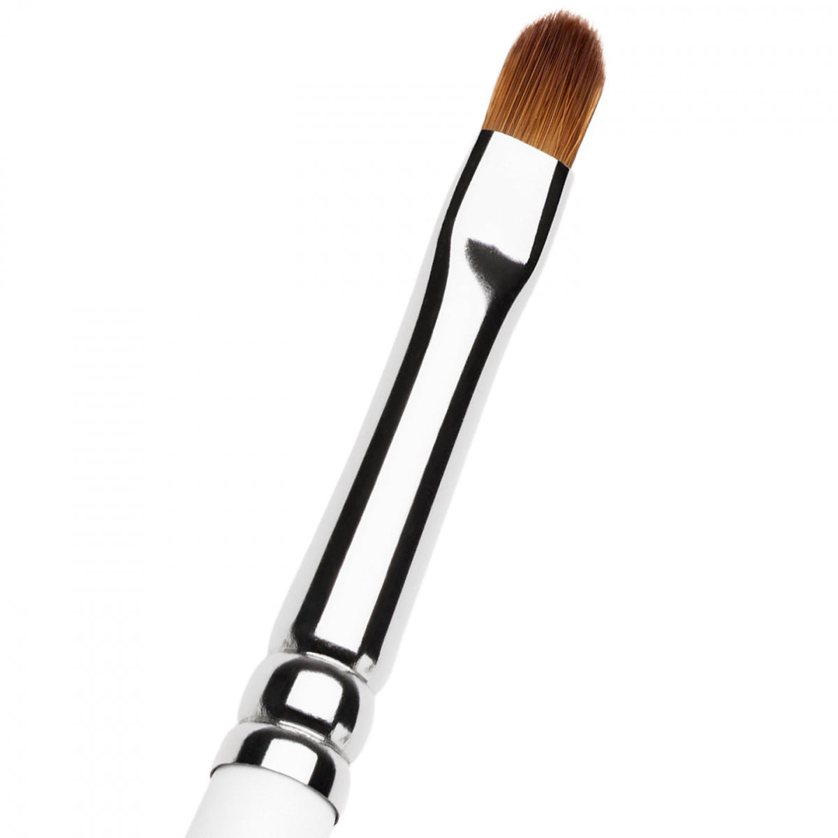 Lip Brush