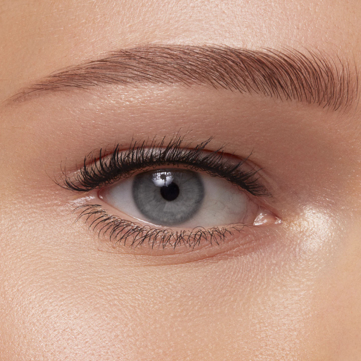 Eyebrow Serum Gel