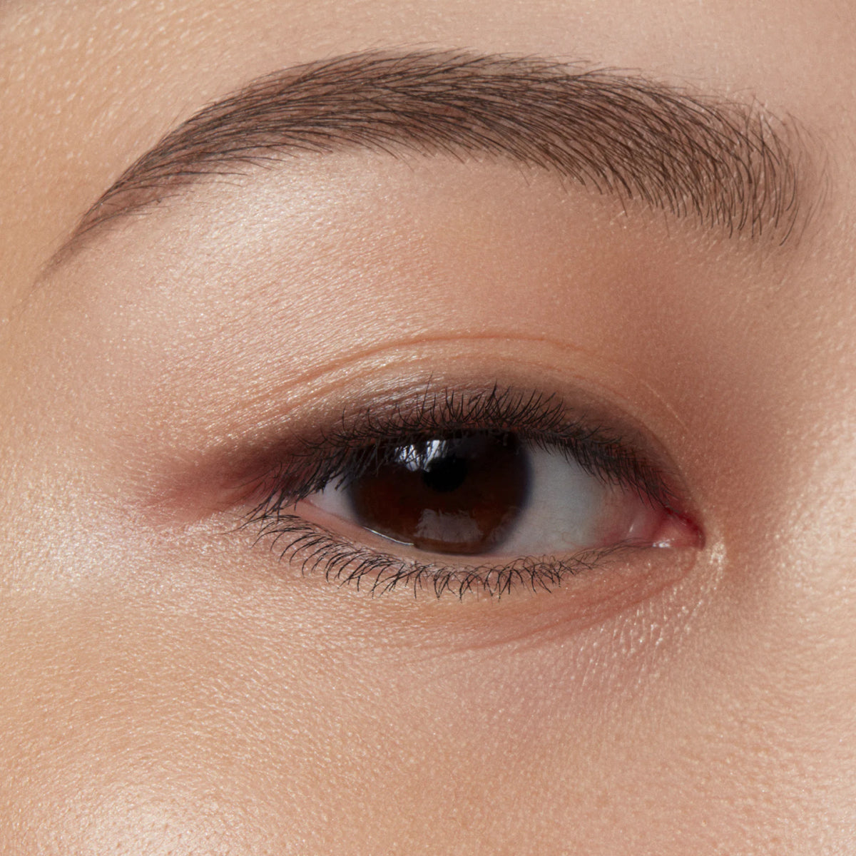 Eyebrow Serum Gel