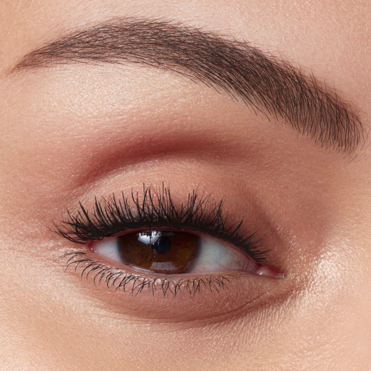 Eyebrow Serum Gel