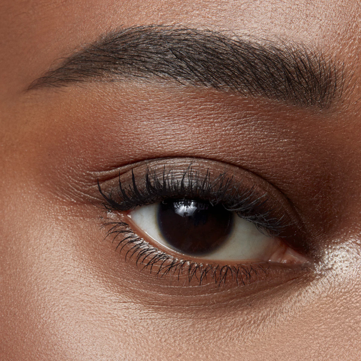 Eyebrow Serum Gel