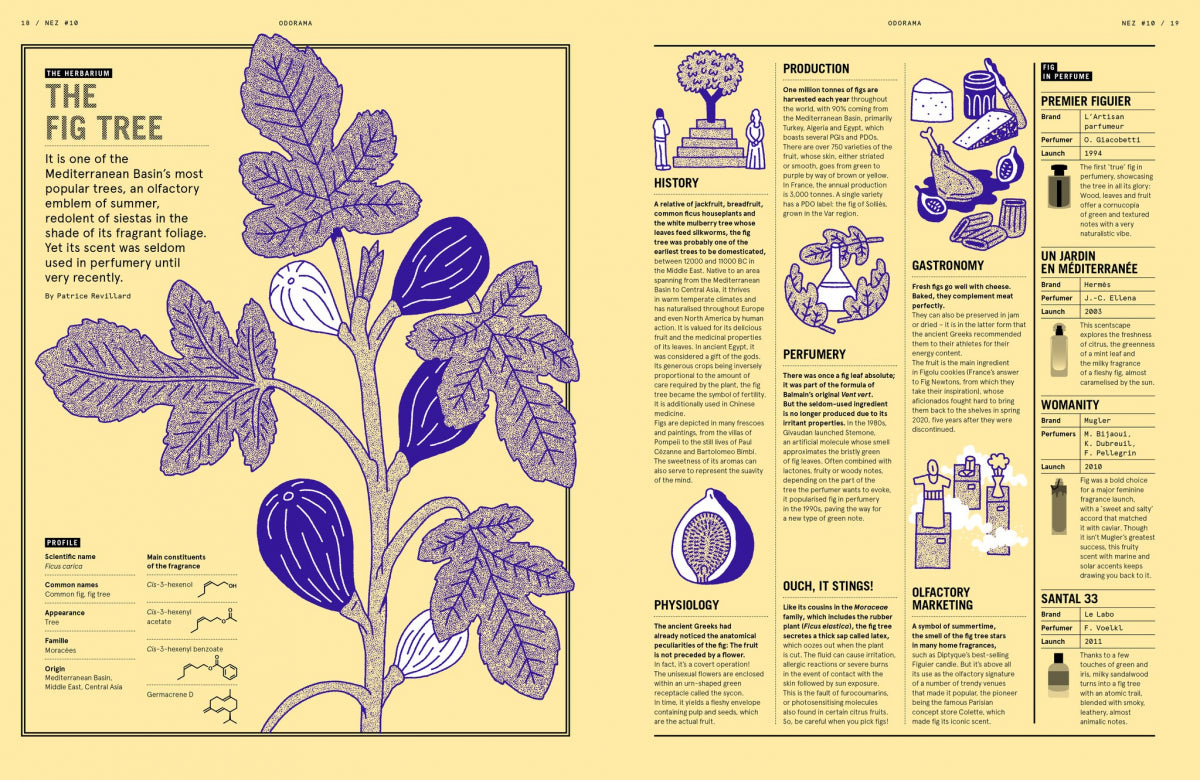 NEZ Magazine #10 From the Nose to the Mouth