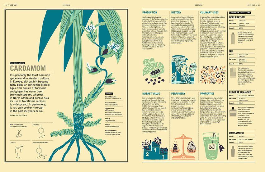 Nez Magazine  #05 Natural vs. Synthetic